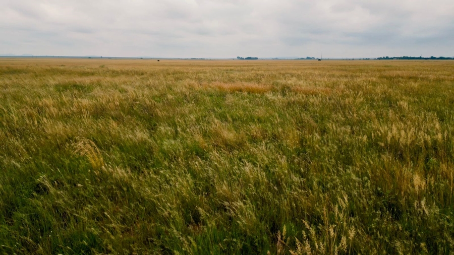 8 Bedroom Property for Sale in Bloemfontein Rural Free State